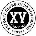 XVdePiracicaba